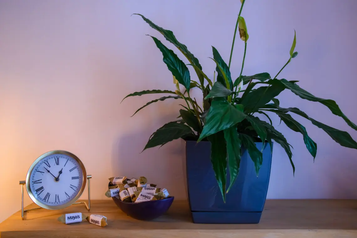 e353947f c972 429c a03f 978e34aab467