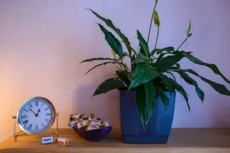 e353947f c972 429c a03f 978e34aab467