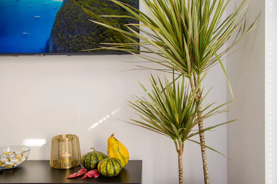 e9b9265f dcc8 474f bb8d 0ddca1539383