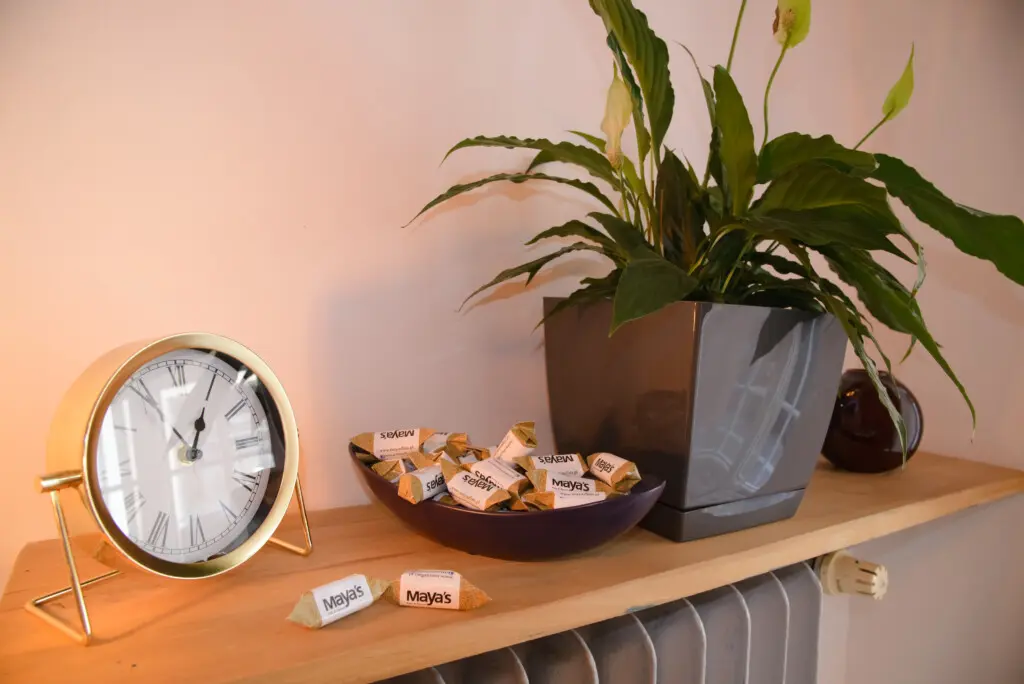 f42fbe05 e414 4796 a3cd 15f66c881e0f